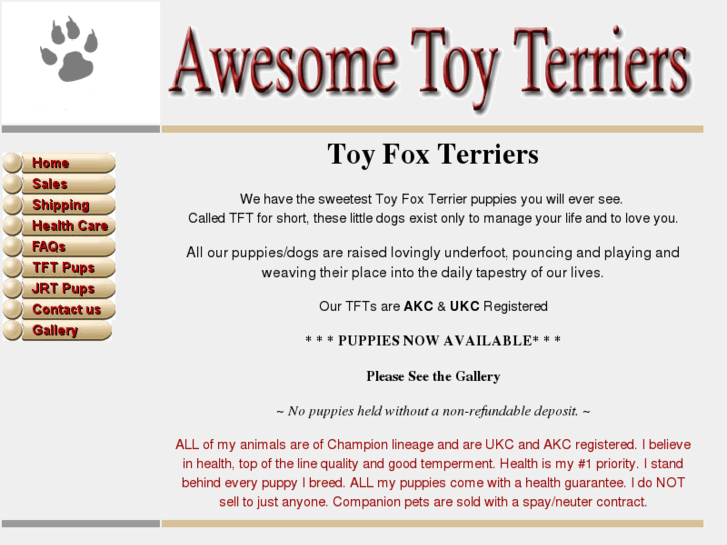 www.awesometoyterriers.com