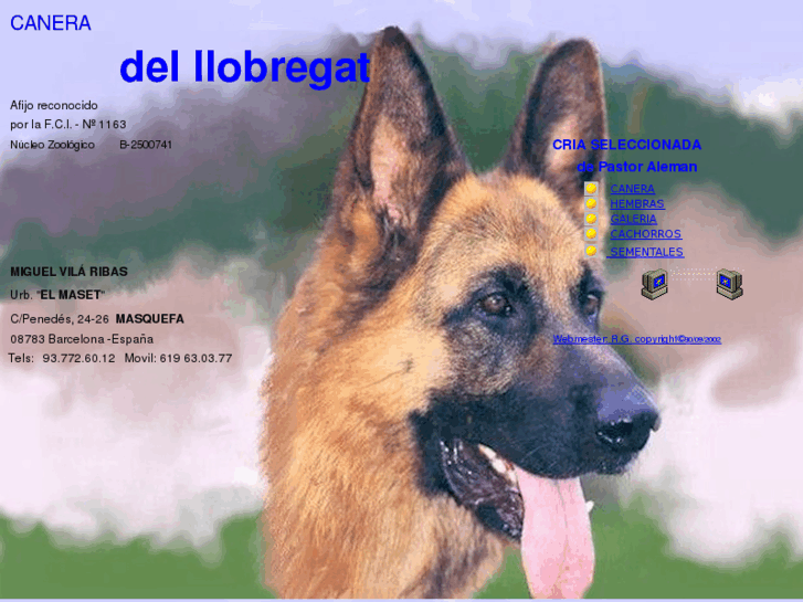 www.delllobregat.com