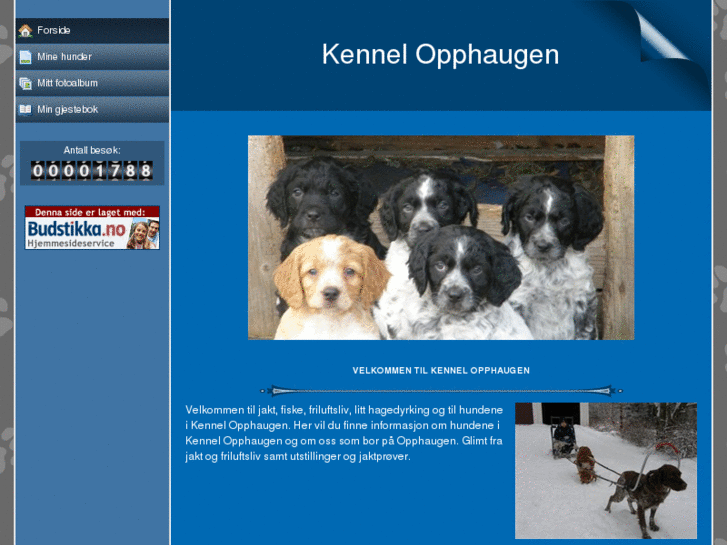www.kennelopphaugen.com