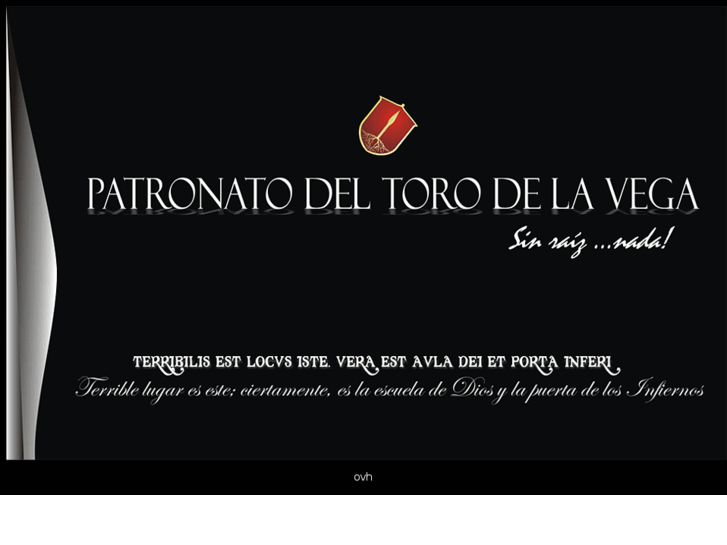 www.patronatodeltorodelavega.com