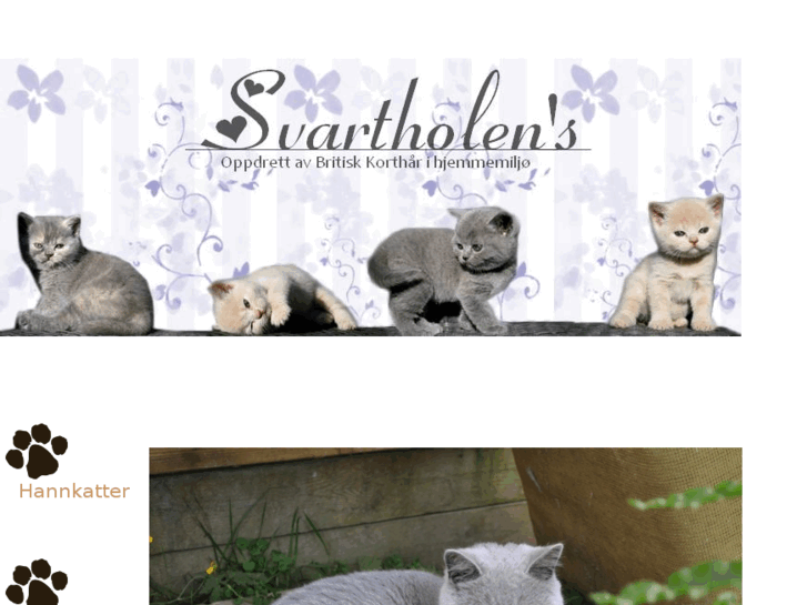 www.svartholens.com