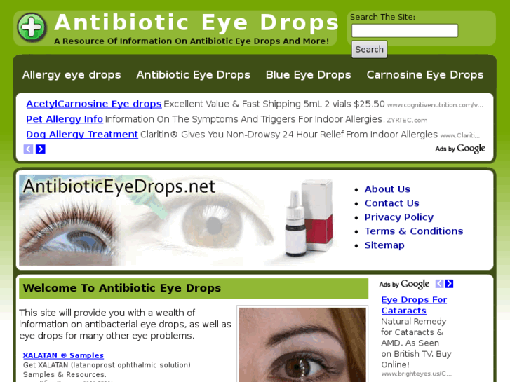 www.antibioticeyedrops.net