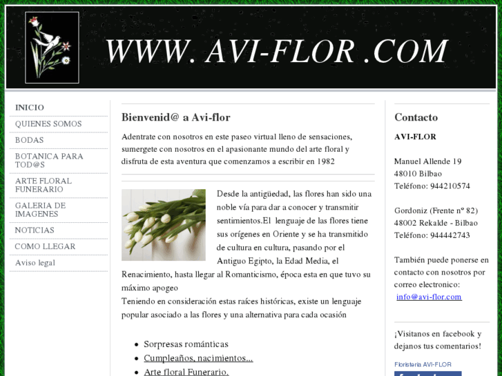 www.avi-flor.com