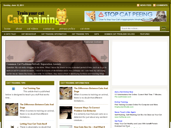 www.cattrainingsite.com