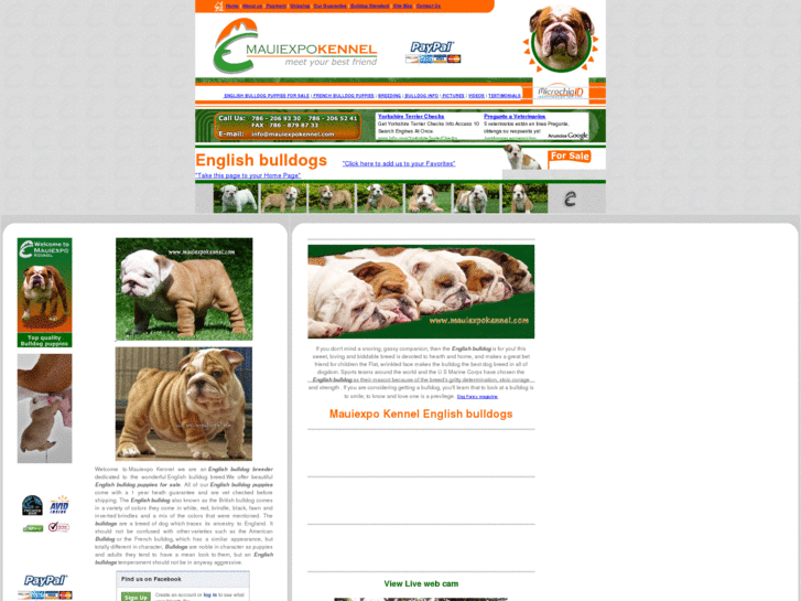 www.cachorrosbulldogingles.com