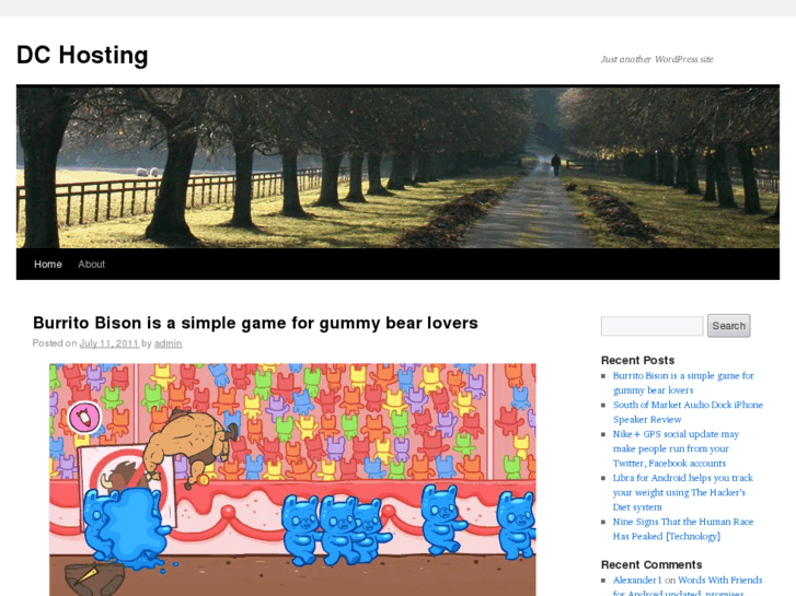 www.dchosting.co.uk