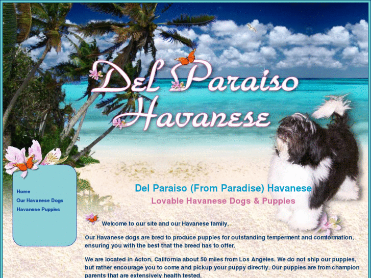 www.del-paraiso.com