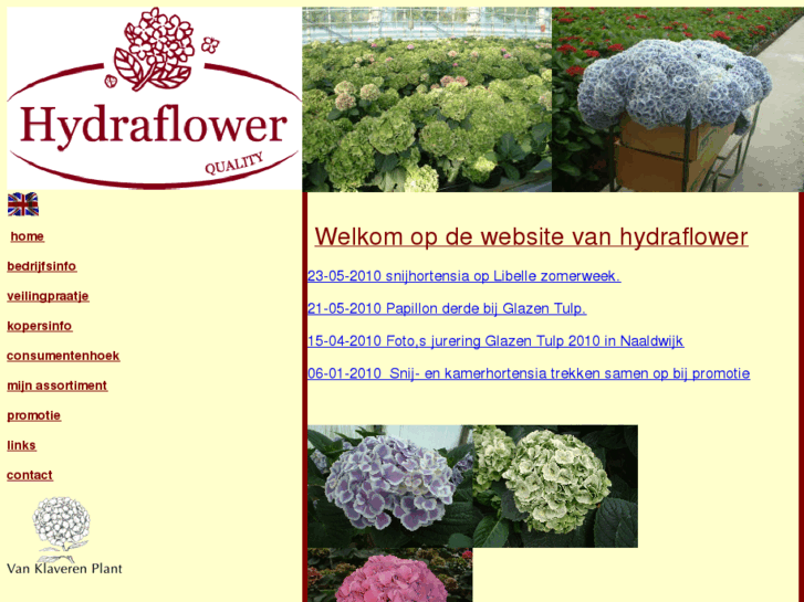 www.hydraflower.com