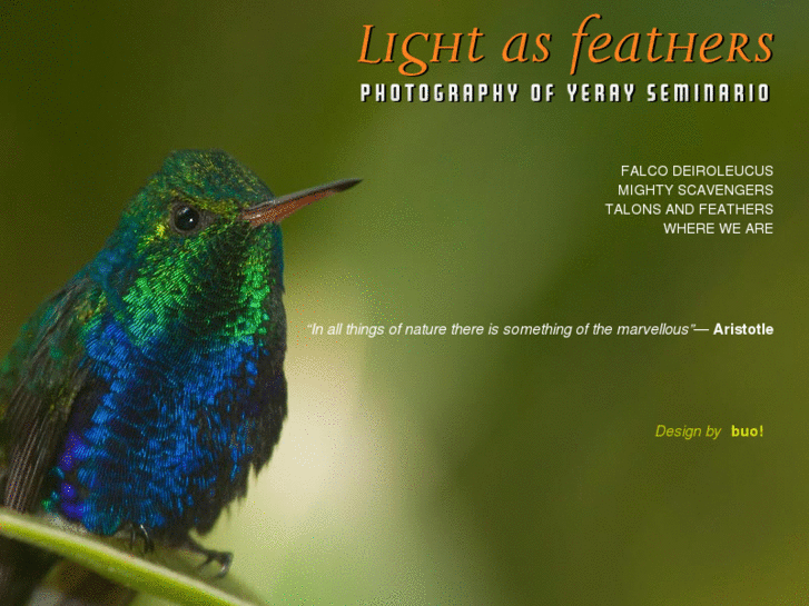www.lightasfeathers.net