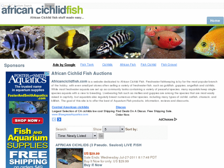 www.africancichlidfish.com