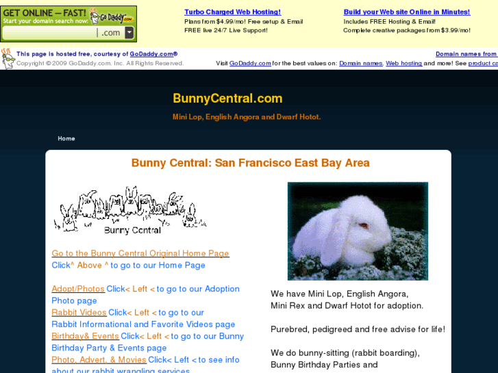 www.bunnycentral.com