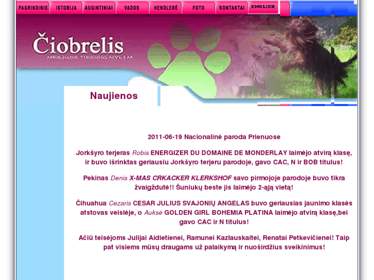 www.ciobrelis.com