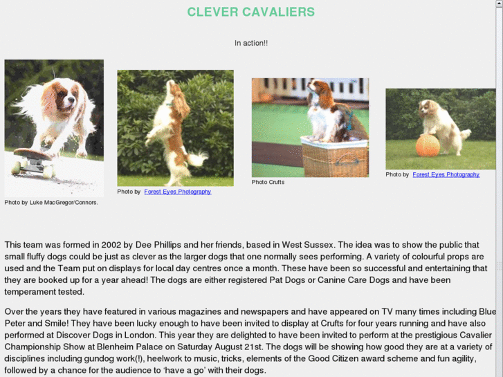 www.clevercavaliers.co.uk