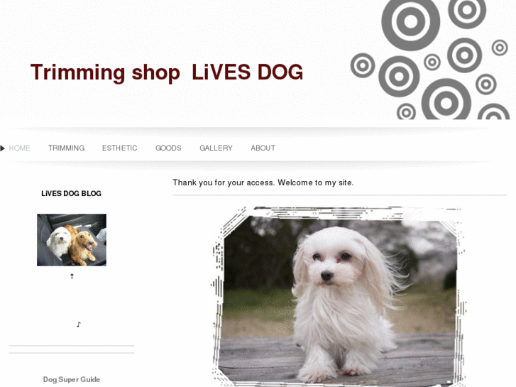 www.livesdog.com