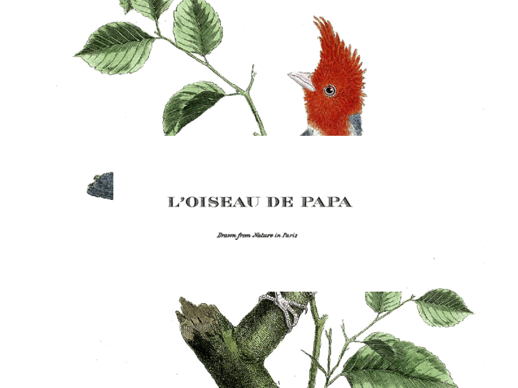 www.loiseaudepapa.com