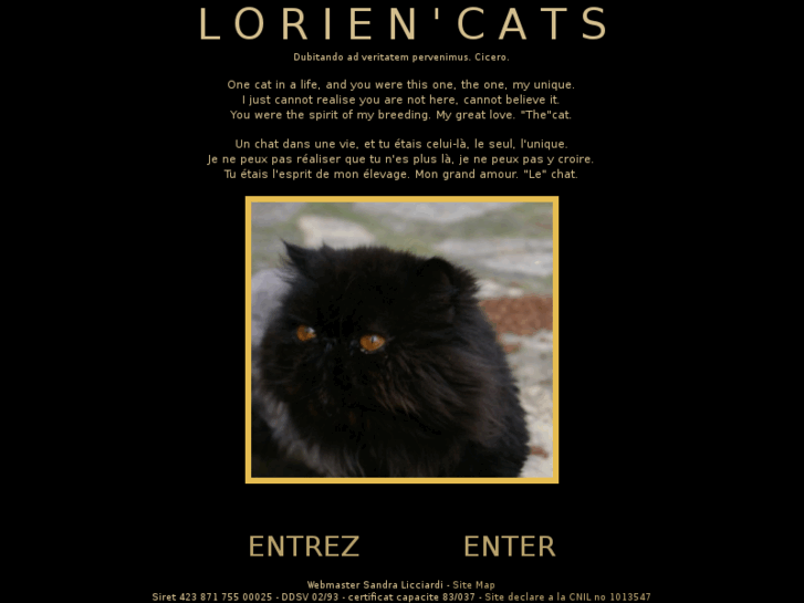 www.lorien-cats.com