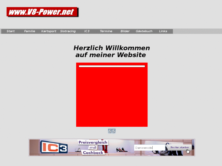 www.v8-power.net