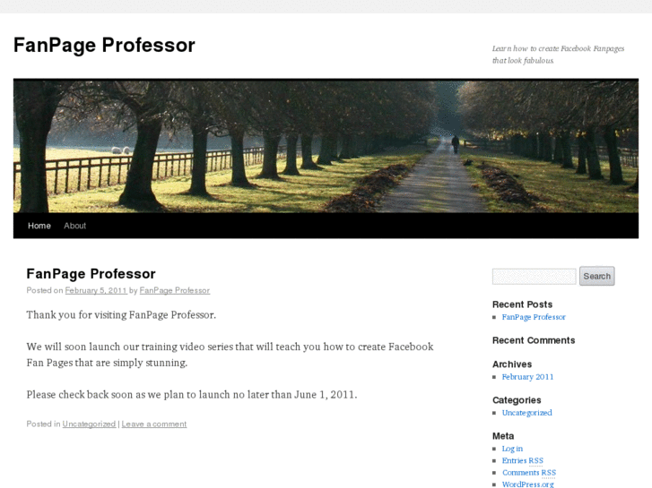 www.fanpageprofessor.com