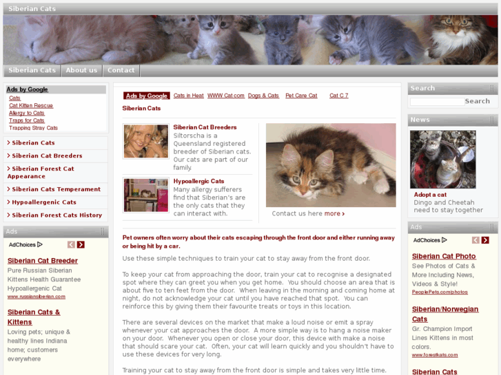 www.siberian-cats.info