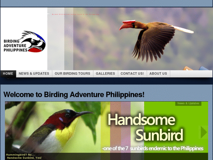 www.birdingphilippines.com