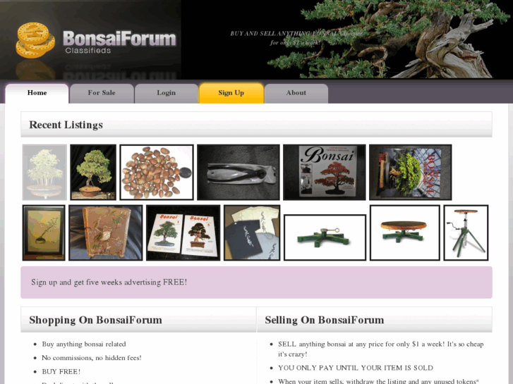 www.bonsaiforum.com