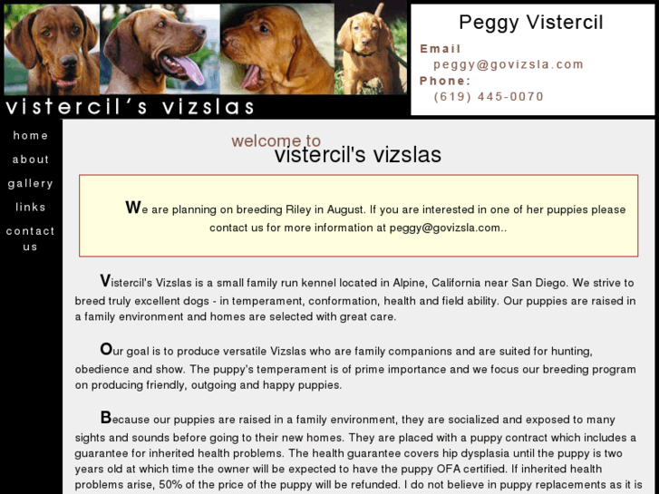 www.govizsla.com