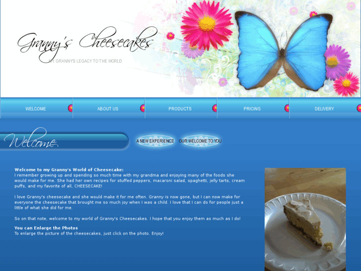 www.grannyscheesecakes.com