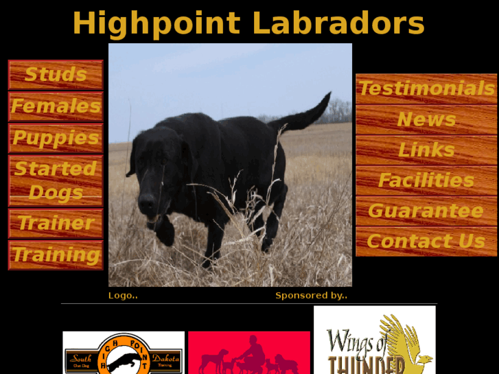 www.highpointlabradors.com