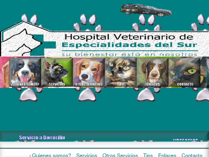 www.hospitalveterinariodelsur.com