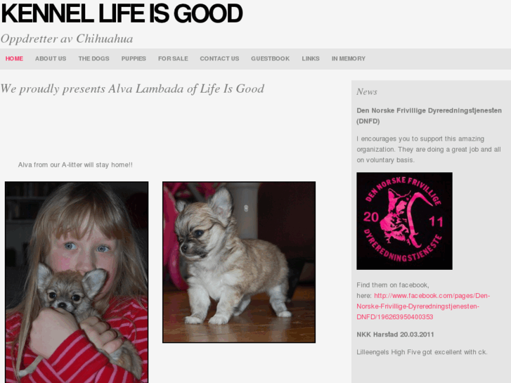 www.kennellifeisgood.com