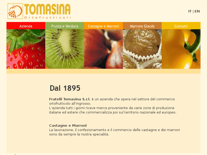 www.tomasinasrl.it