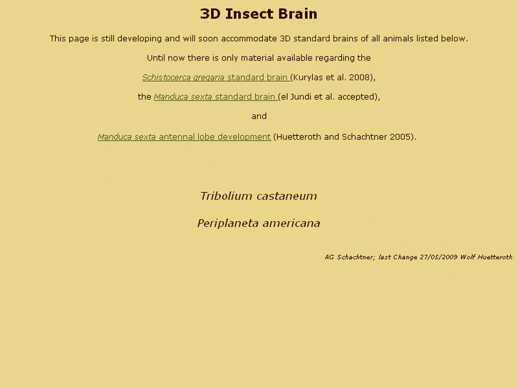 www.3d-insectbrain.net