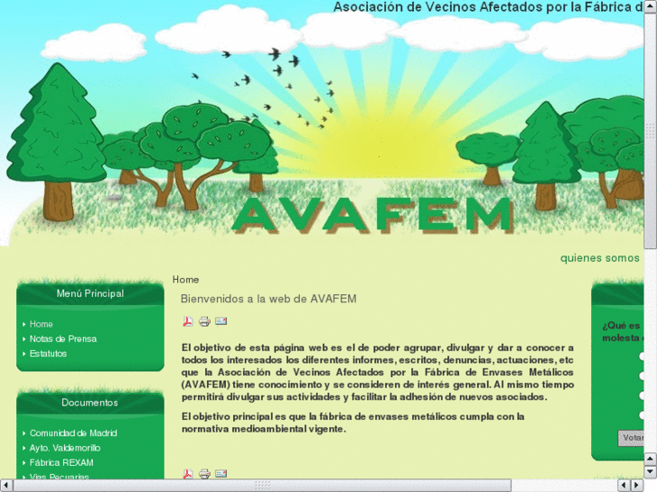www.avafem.org