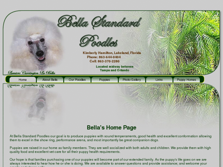 www.bellasstandardpoodles.com