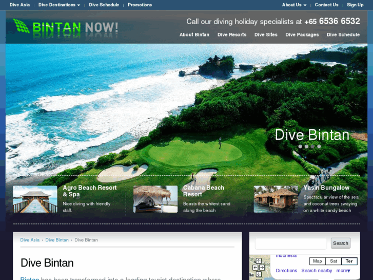 www.bintannow.com