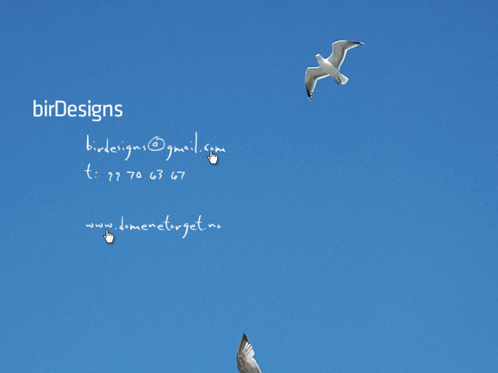 www.birdesigns.com