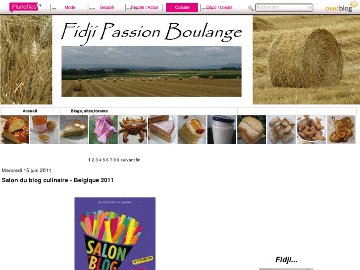 www.fidjipassion.com