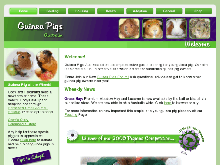 www.guineapigsaustralia.com