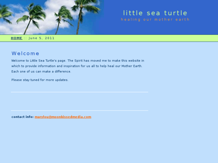 www.littleseaturtle.com