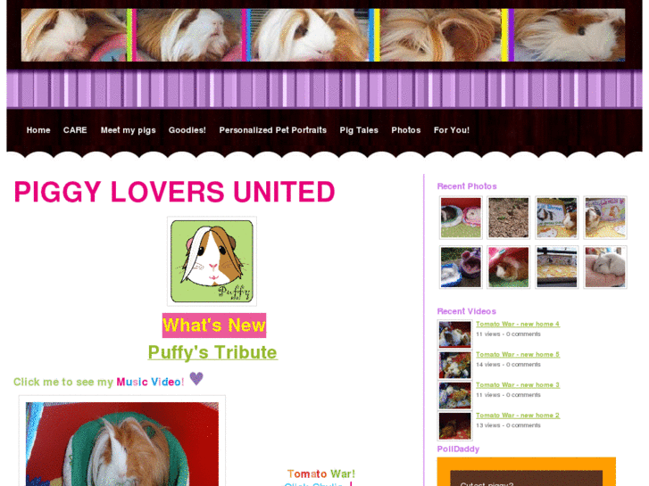 www.piggyloversunited.com