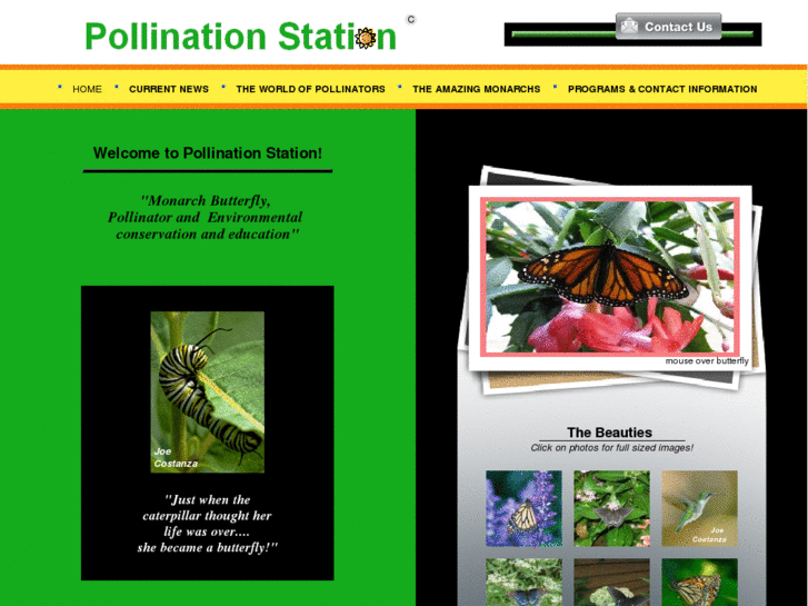 www.pollinationstation.org