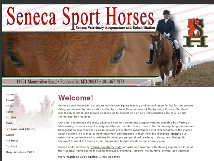 www.senecasporthorses.com