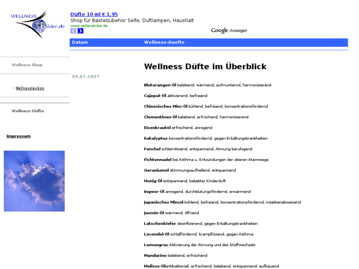 www.wellness-duefte.de