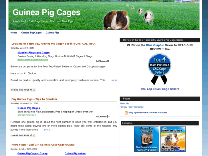 www.new-guinea-pig-cage.com