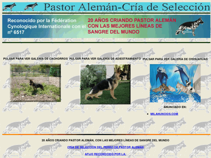 www.pastoraleman-criadeseleccion.com