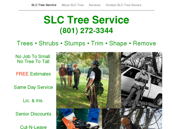 www.slctree.com