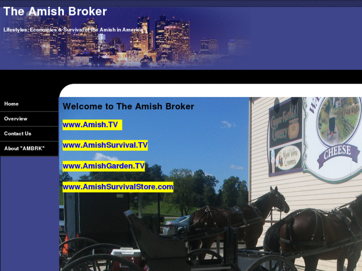 www.theamishbroker.com