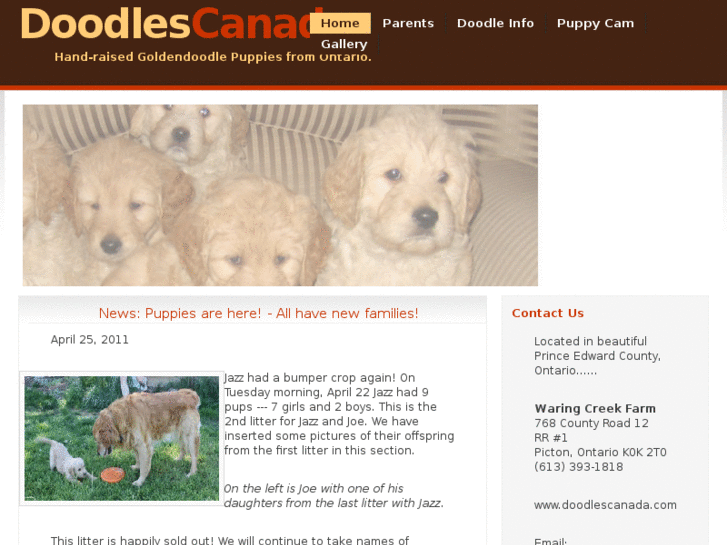 www.doodlescanada.com