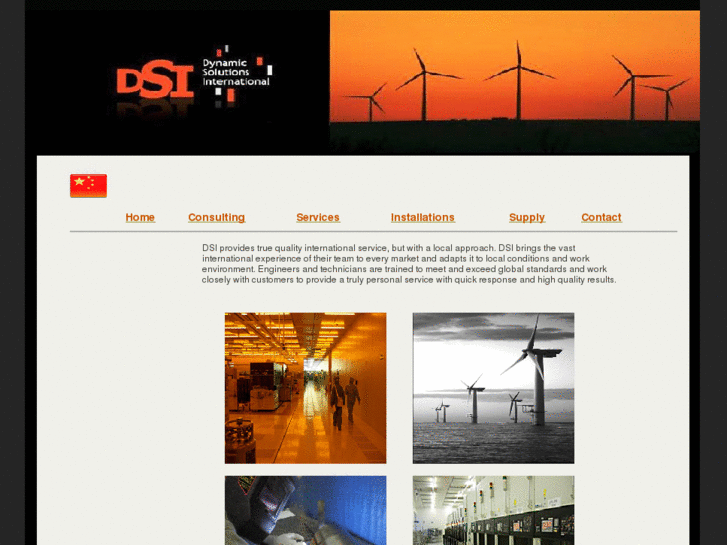 www.dsi-ltd.net