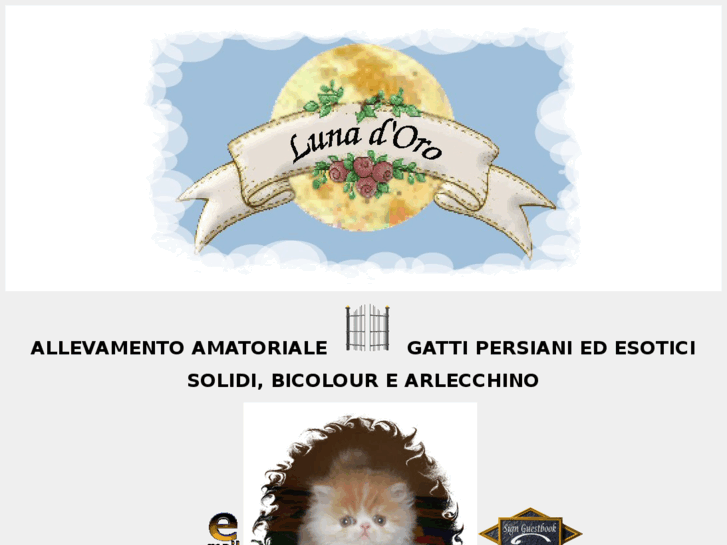 www.lunadorocattery.com